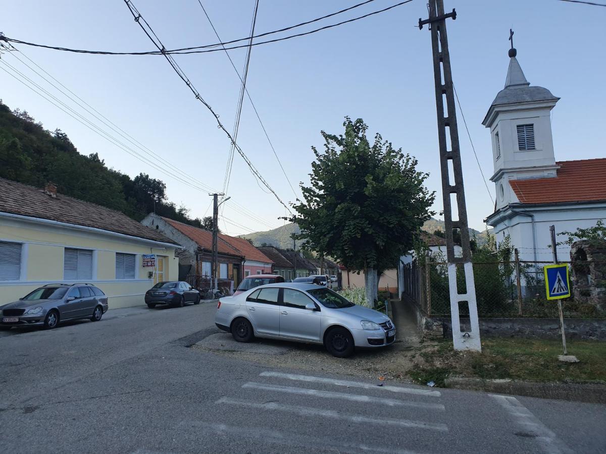 Hotel Albina Dunareana Berzasca Exteriér fotografie